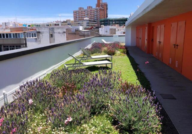 Zen Garden Apartment Las Palmas de Gran Canaria Luaran gambar